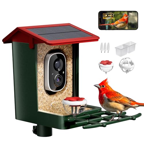 Best Squirrel Proof Bird Feeder of 2026